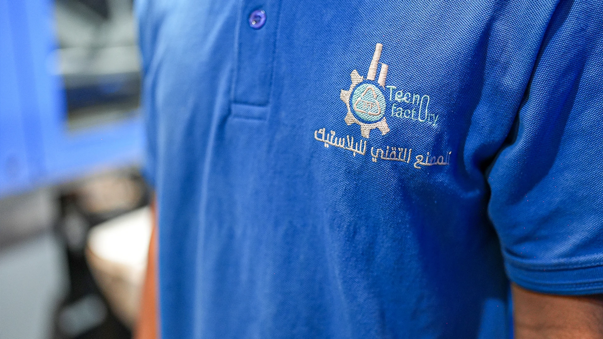 الأقسام